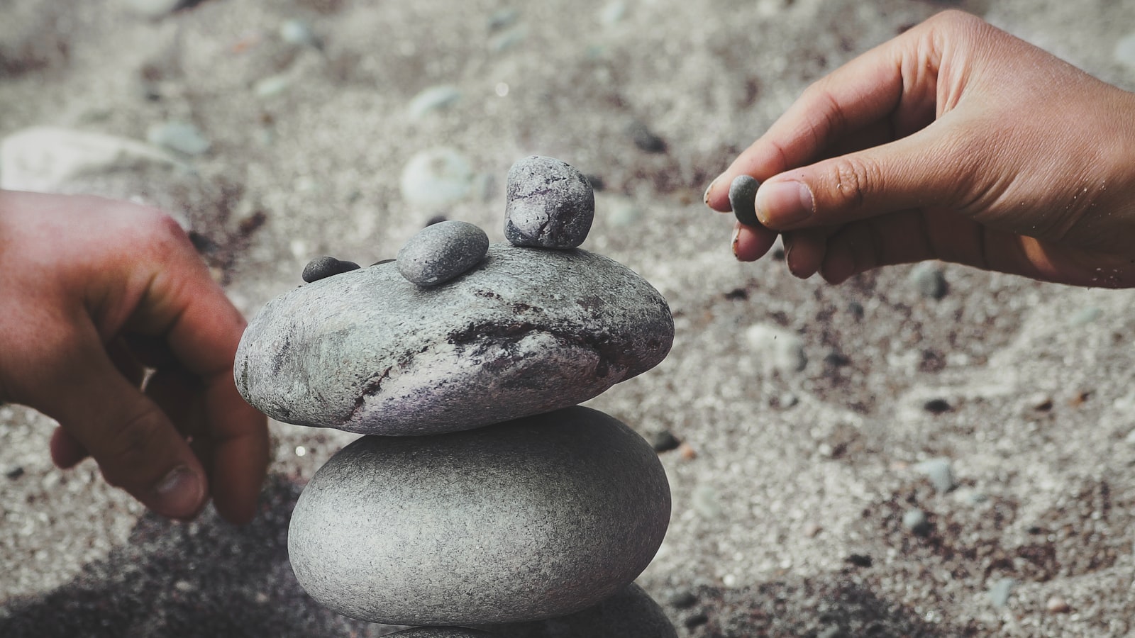 Diversify now or discount later: why revenue resilience is mission-critical before a private-equity exit